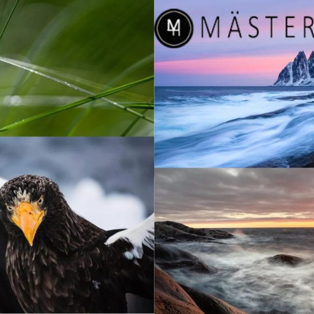 Lär dig fotografera över en helg – intensiv kurs för nybörjare och entusiaster