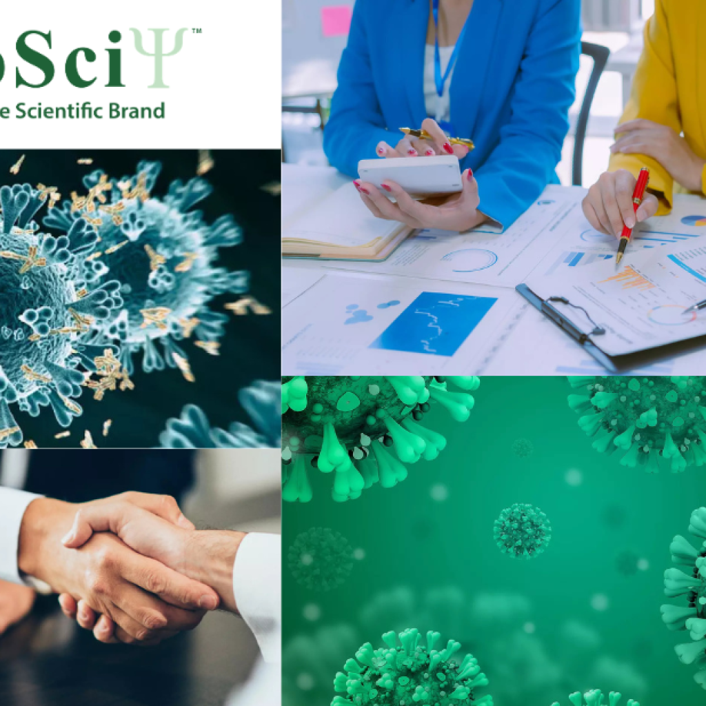 Tailored Antibody Labeling Solutions for Research Excellence