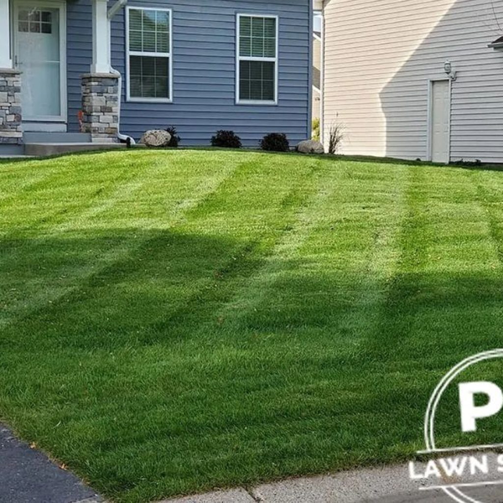 Trusted Lawn Care in Golden Valley for a Pristine, Low-Muss Maintenance Trusted Lawn Care in Golden Valley for a Pristine, Low-Muss Maintenance
