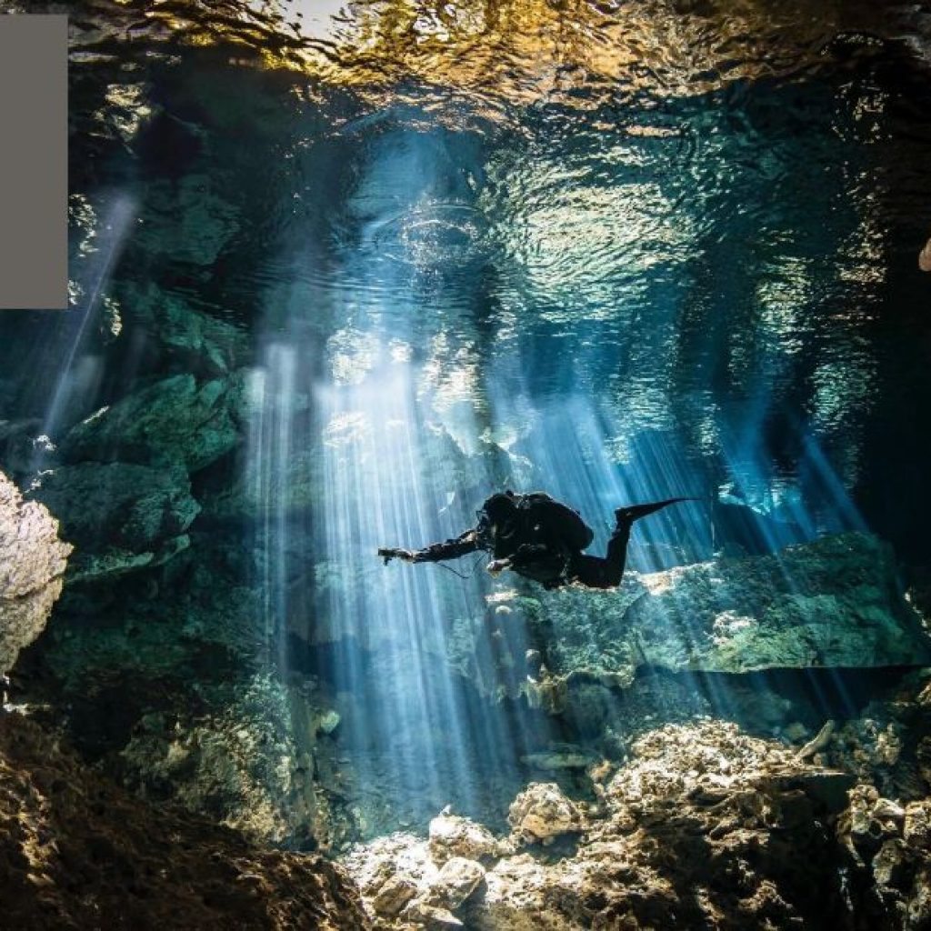 Exploring Crystal Clear Cenotes: Top Dive Spots and Tips Exploring Crystal Clear Cenotes: Top Dive Spots and Tips