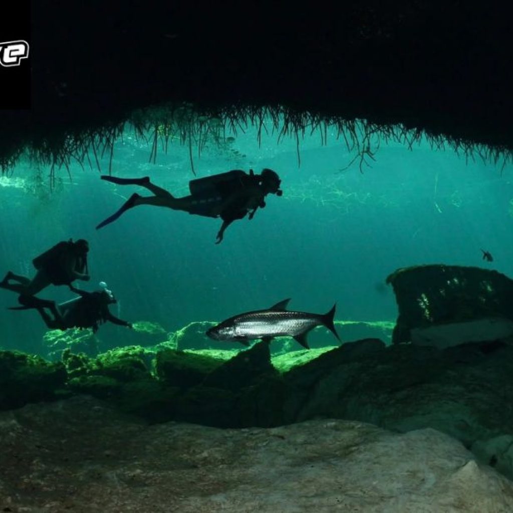 Explore Mexico’s Hidden Caves: Safe, Stunning Cavern Diving Experiences
