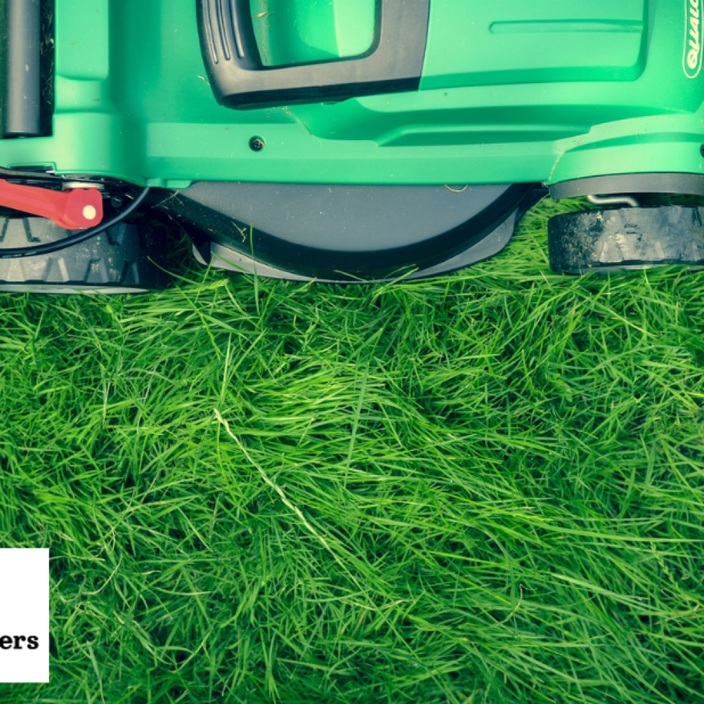 Lawn Shaping Services in Bristol | Expert Turf Design