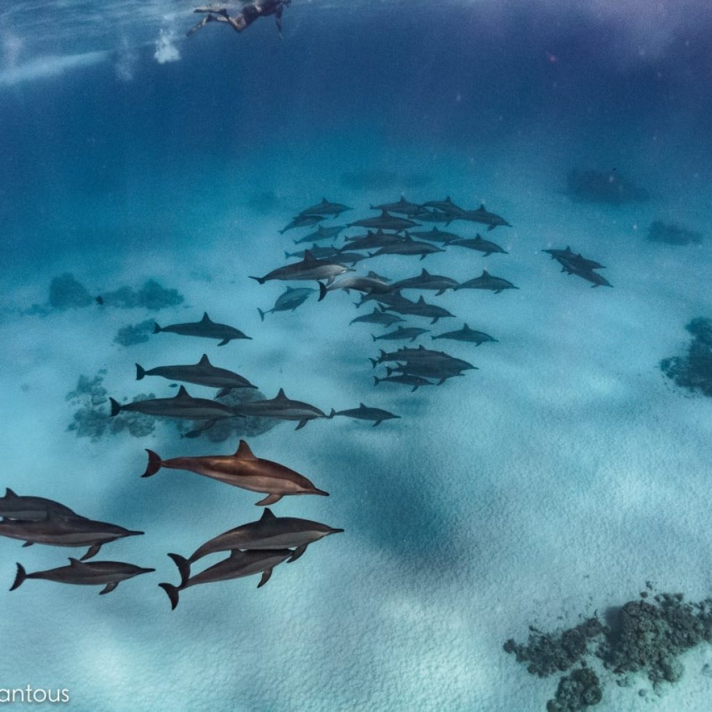 A Beginner’s Guide to Planning Your Red Sea Adventure