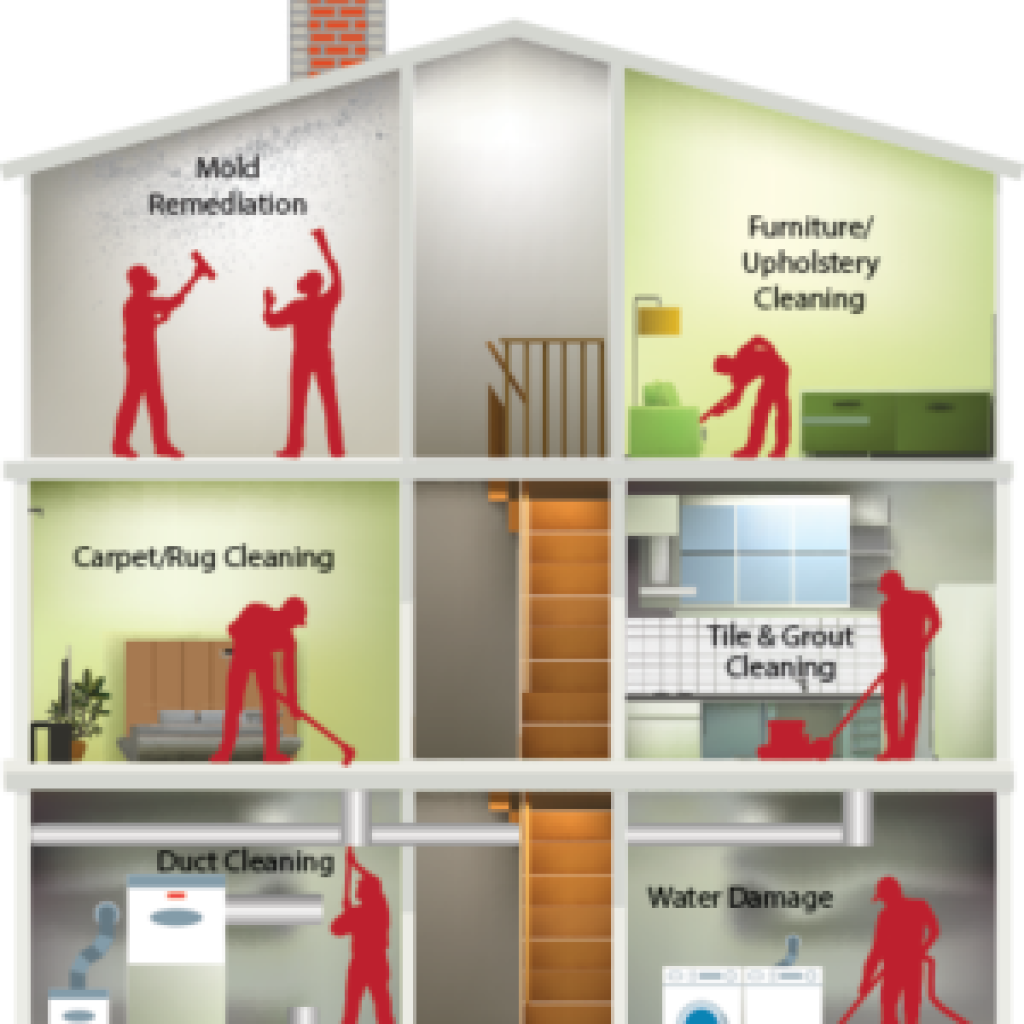 Professional Carpet Care in Belvidere for Fresh, Hygienic Floors Professional Carpet Care in Belvidere for Fresh, Hygienic Floors