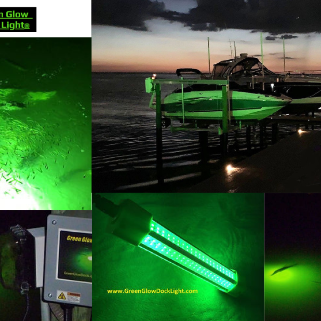 Illuminate Your Night Fishing: Top-Quality Dock Lights for Snook Screening and Catch Illuminate Your Night Fishing: Top-Quality Dock Lights for Snook Screening and Catch