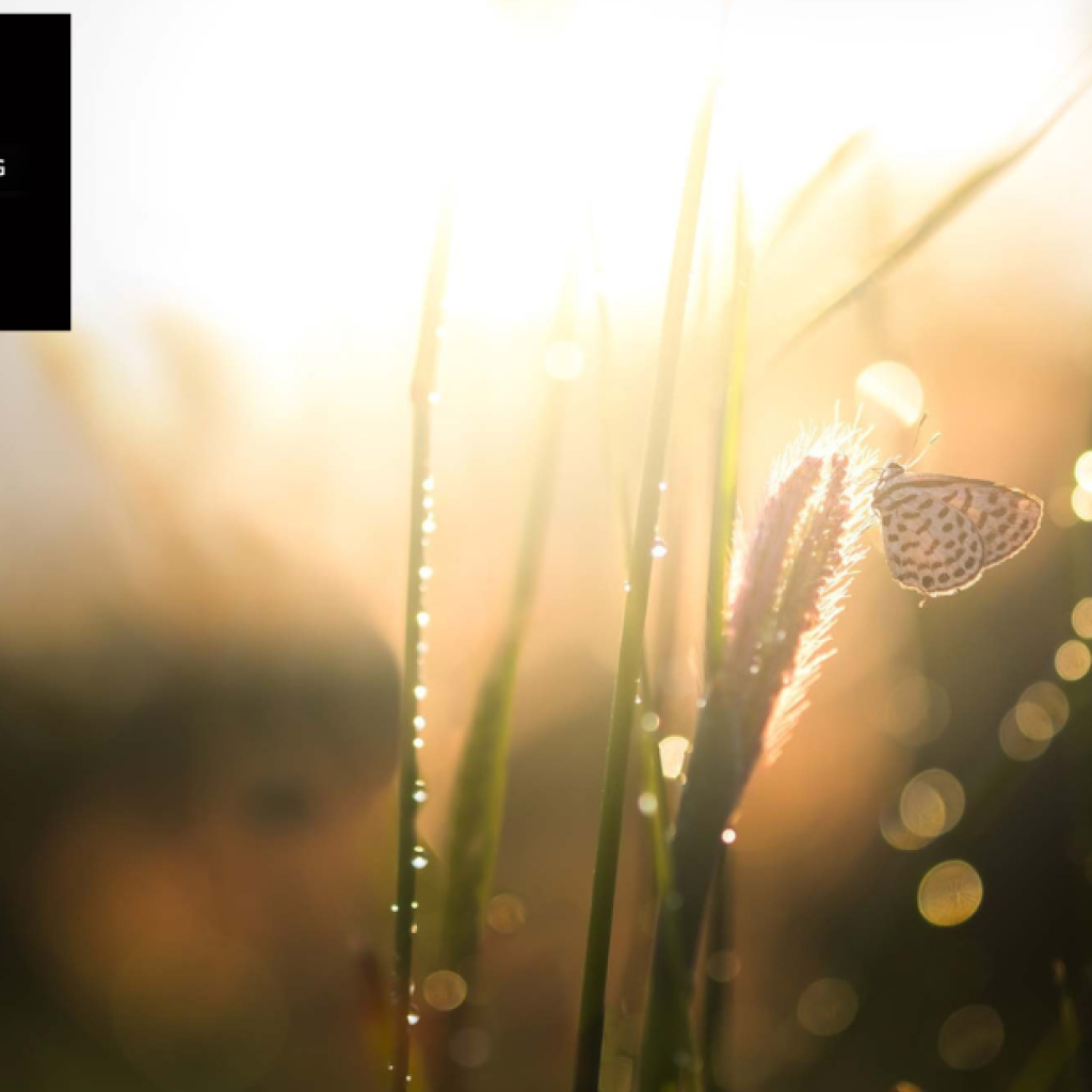 Hjälp i kärleken: effektiv parterapi i Sverige