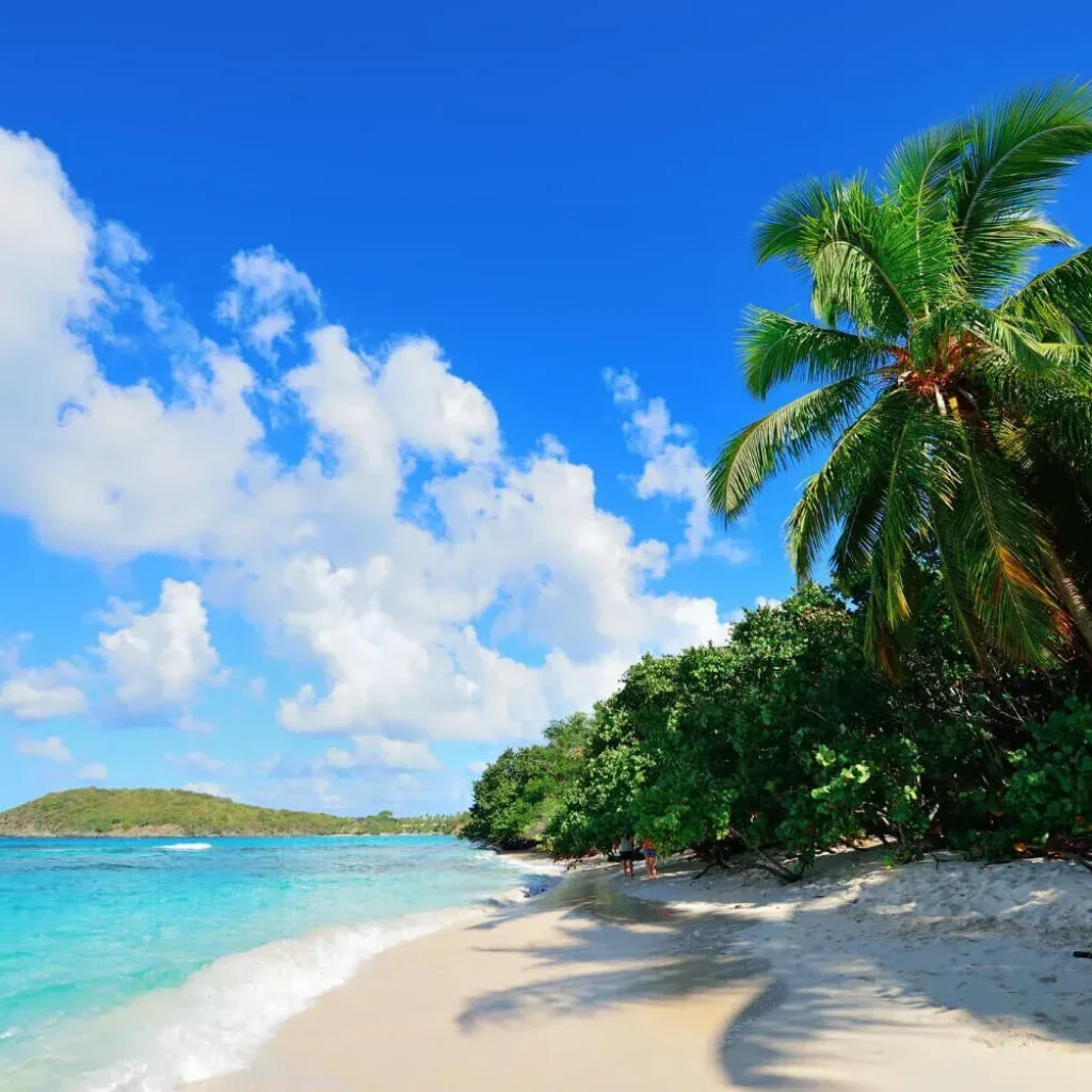 Explore Hawaii by Car: Best Deals on Island Rentals Explore Hawaii by Car: Best Deals on Island Rentals