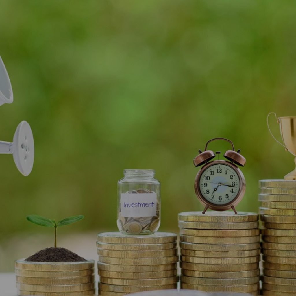 Launch a UAE High-Level Holding Company with Expert Guidance