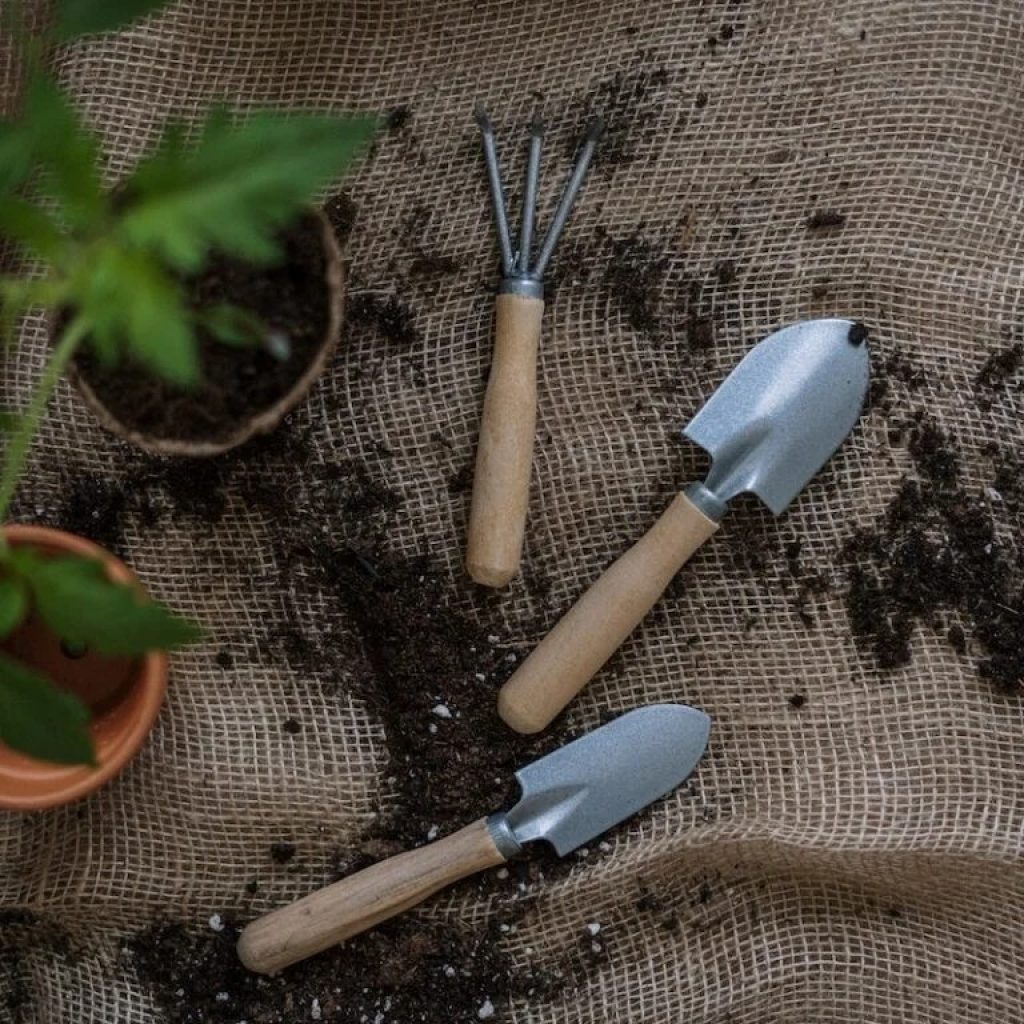 Transform Your Outdoor Space with Skilled South West London Garden Experts