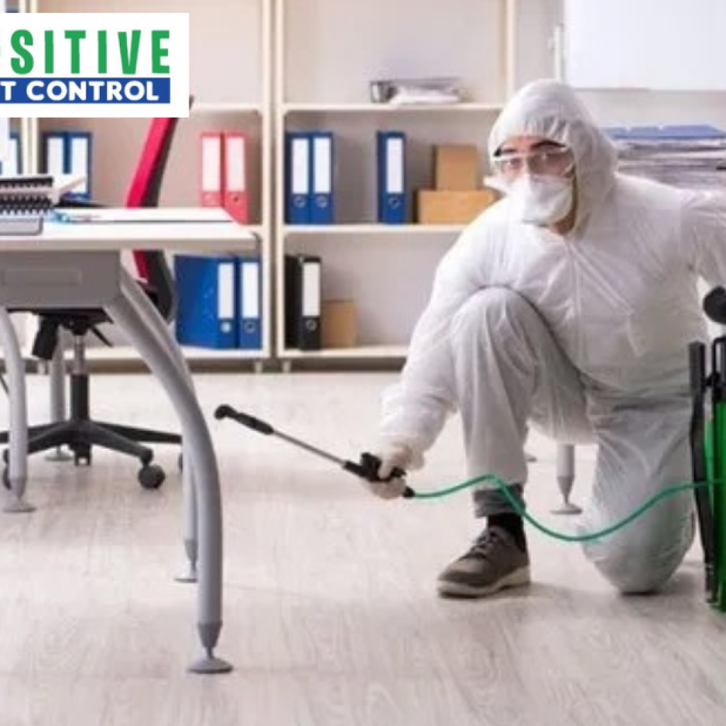 Pest Control Experts in Calgary You Can Trust