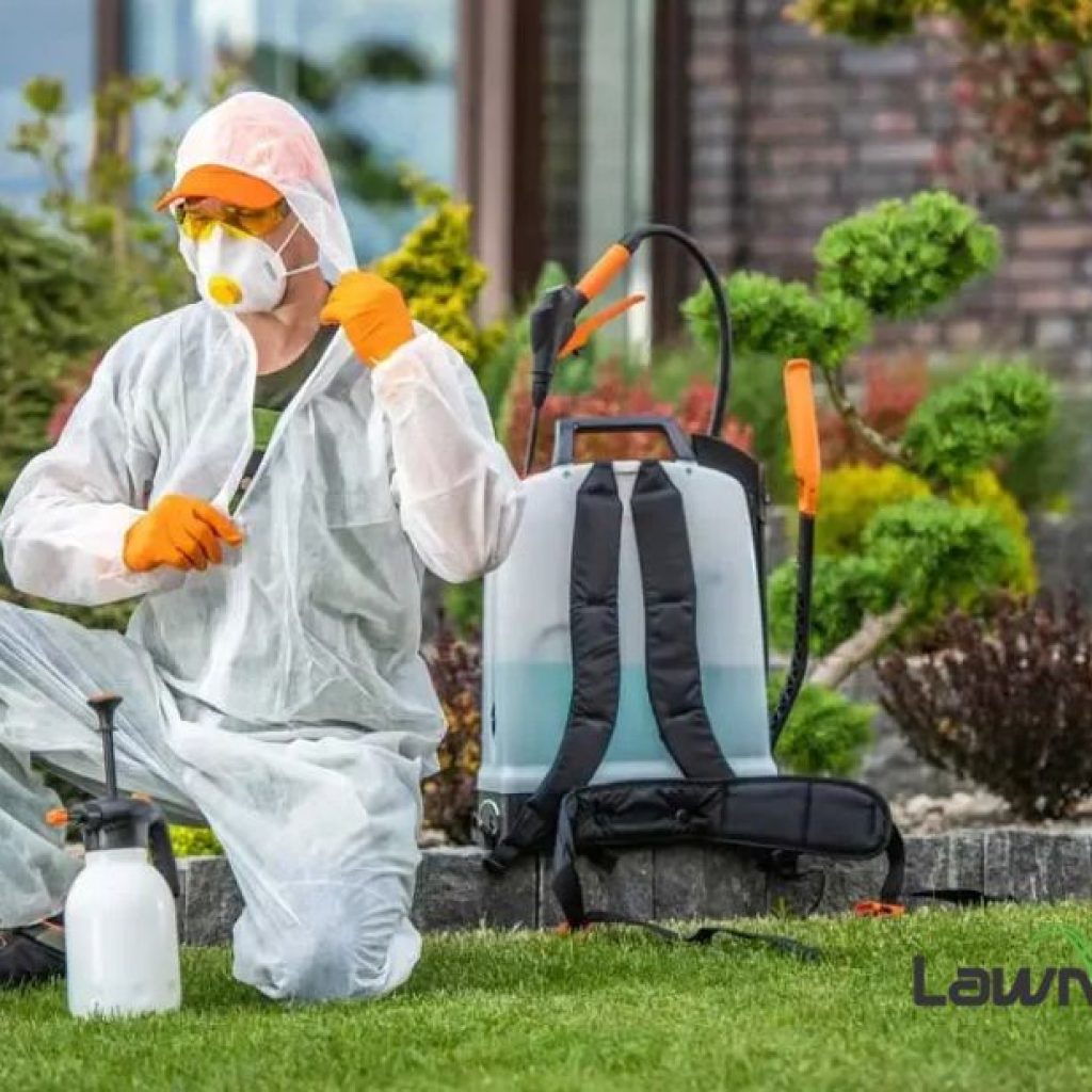 Lawn Mowing Larchmont: Reliable Local Care