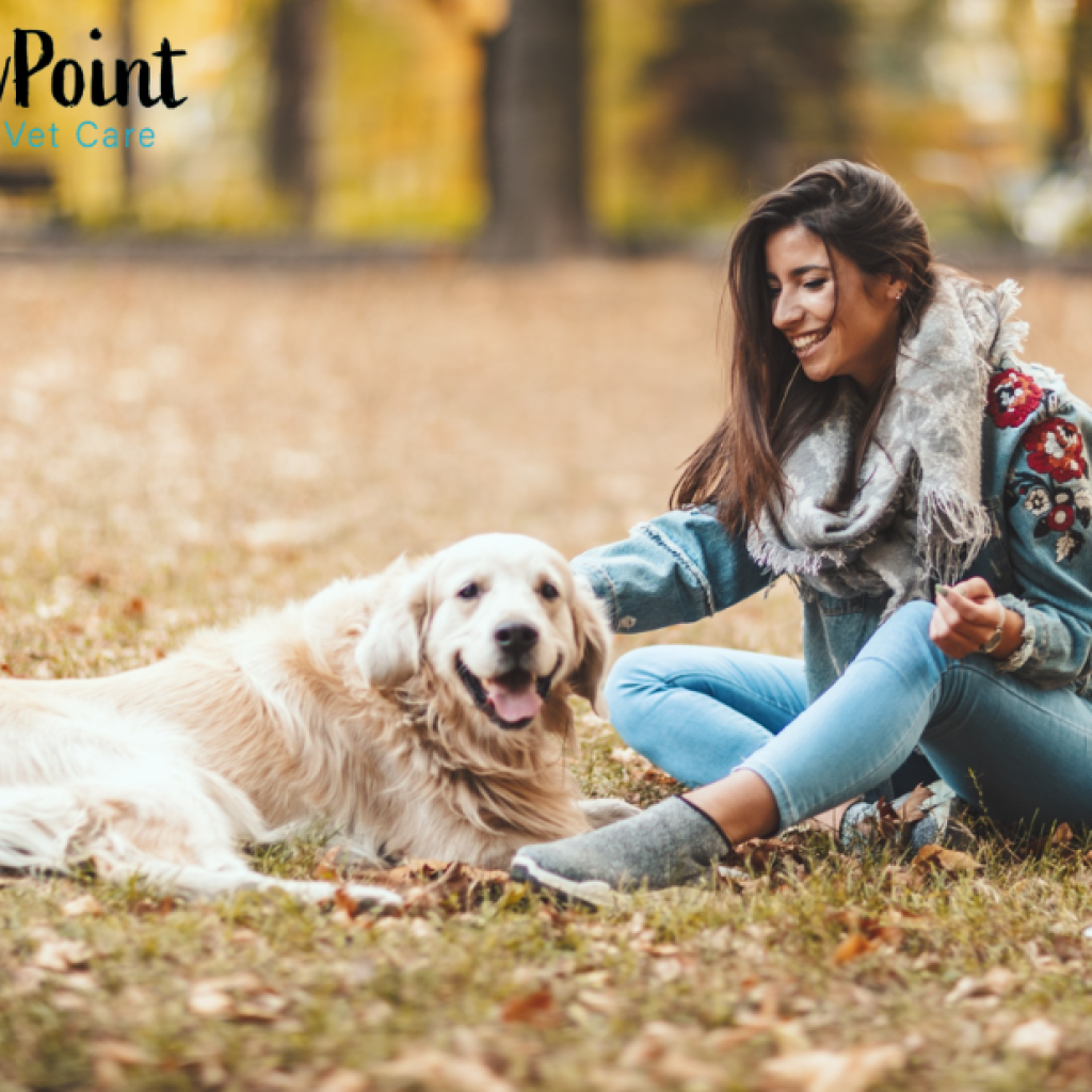 Compassionate end-of-life care for your beloved pet Compassionate end-of-life care for your beloved pet