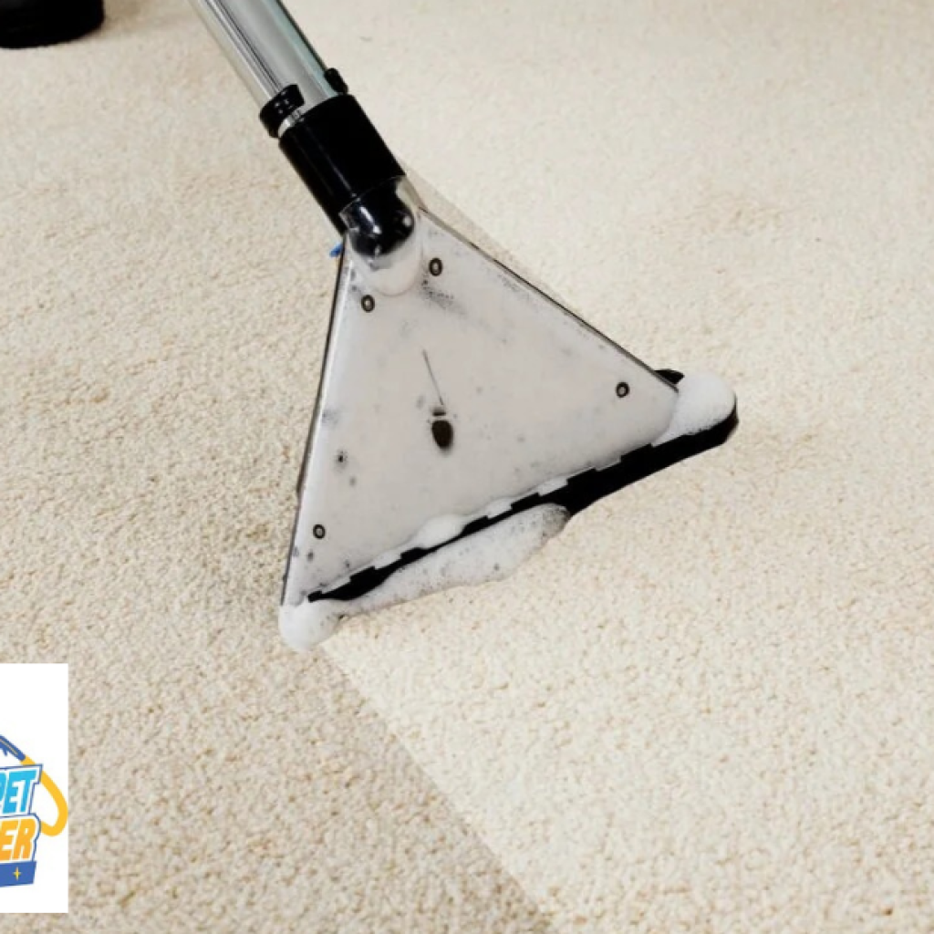 Expert Carpet Cleaning in Bull Creek – Fresh, Clean & Safe for Your Home