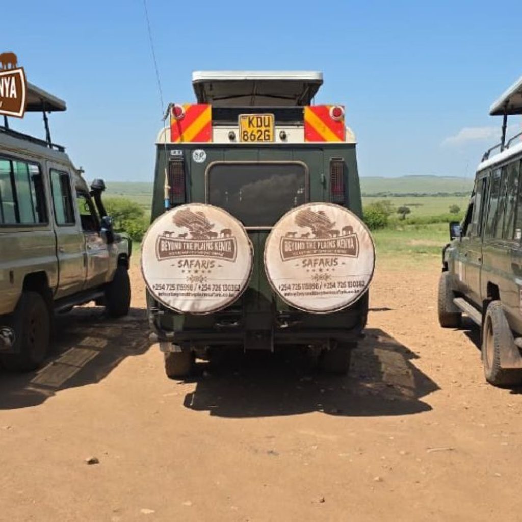 Explore Ngorongoro Crater: Scenic Wildlife & Luxury Safari Experiences Explore Ngorongoro Crater: Scenic Wildlife & Luxury Safari Experiences
