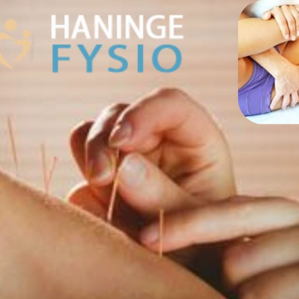 Optimera din återhämtning med professionell fysioterapi i Haninge