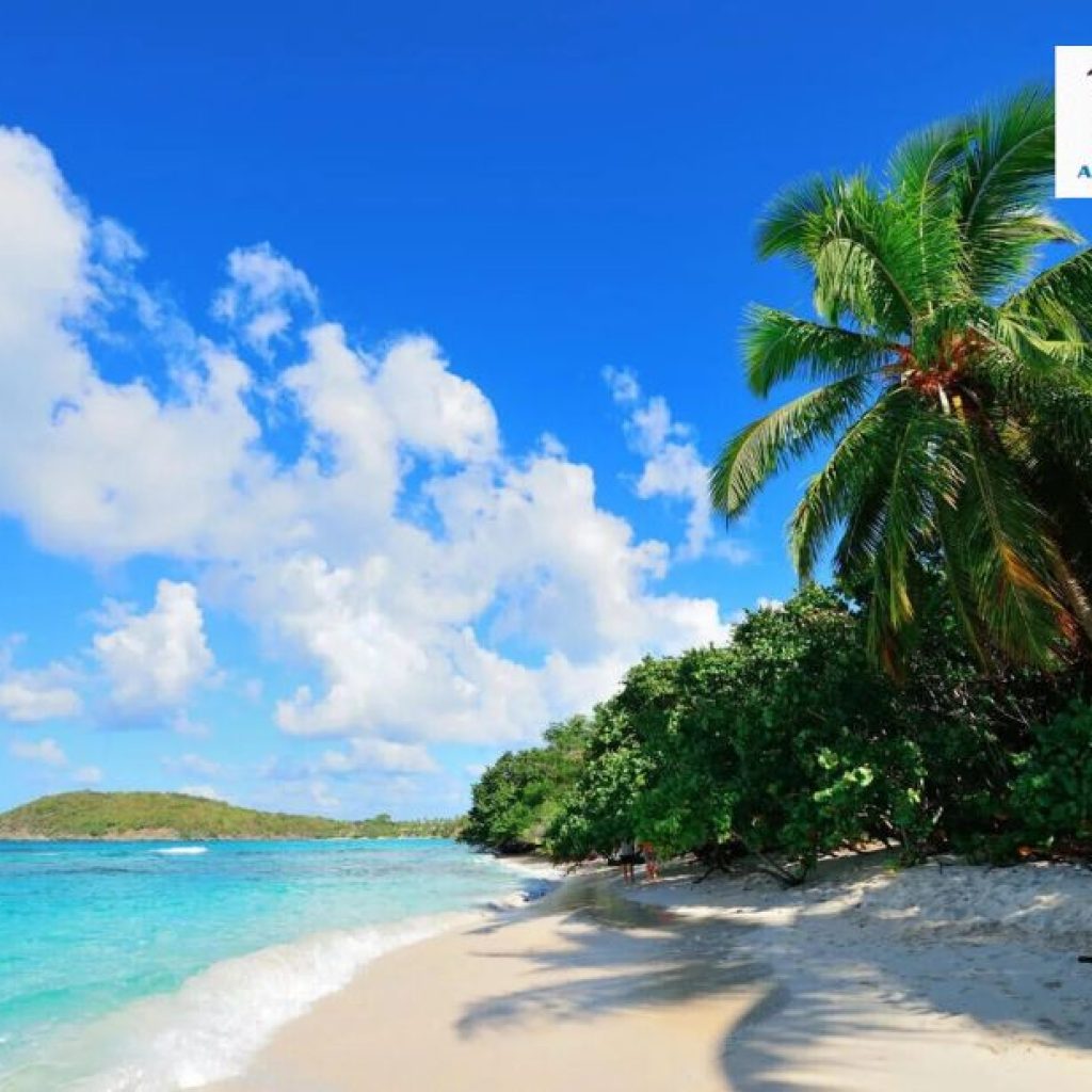 Rent Cars in Hawaii service – Flexible, Reliable & Local Rent Cars in Hawaii service – Flexible, Reliable & Local