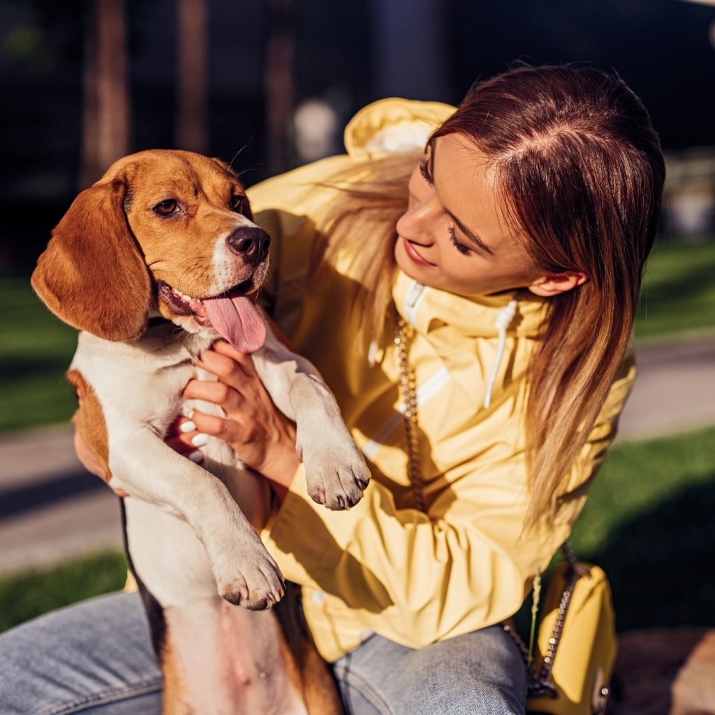 Gentle at‑home end-of-life care for beloved pets Gentle at‑home end-of-life care for beloved pets