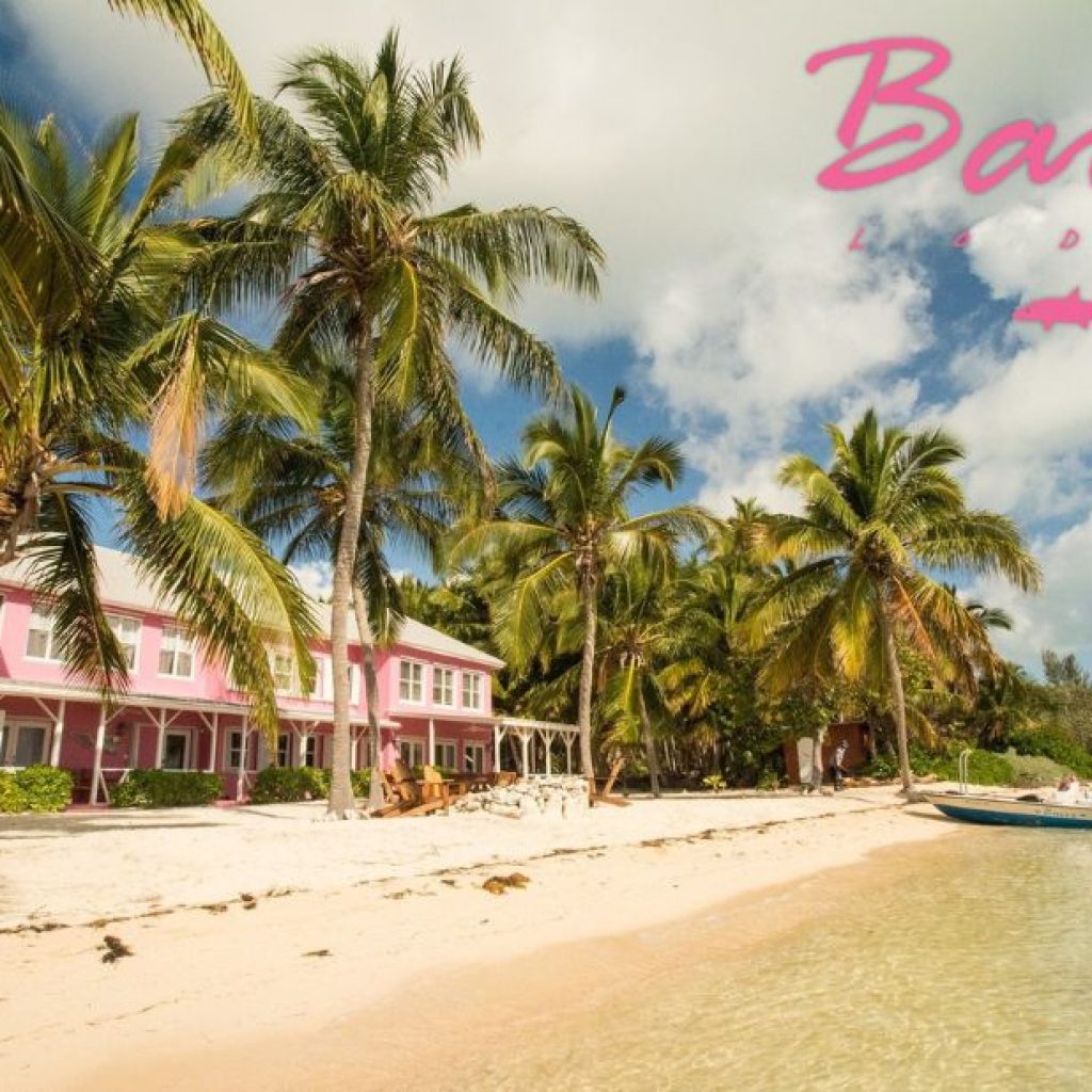 World-Class Bonefishing in the Bahamas’ Best Flats World-Class Bonefishing in the Bahamas’ Best Flats