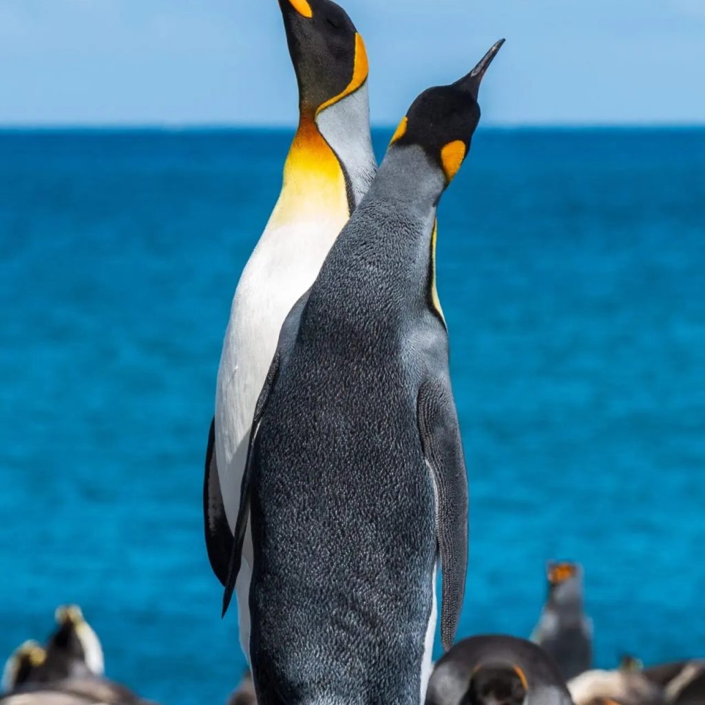 Hidden Corners: Stunning Destinations You Might Not Know