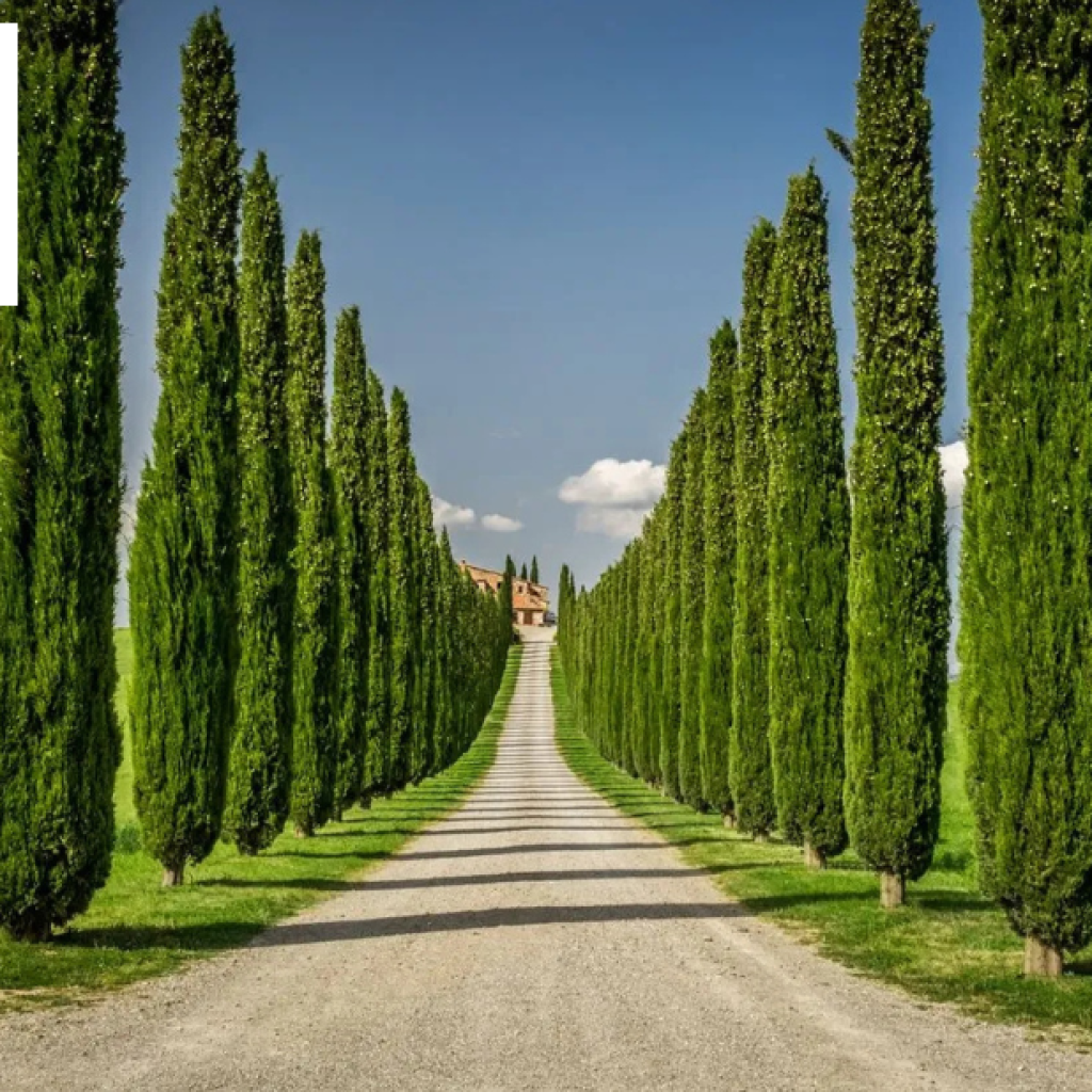 Luxurious Tuscany Retreat: Spacious Villa with Heated Pool Near Lucca Luxurious Tuscany Retreat: Spacious Villa with Heated Pool Near Lucca