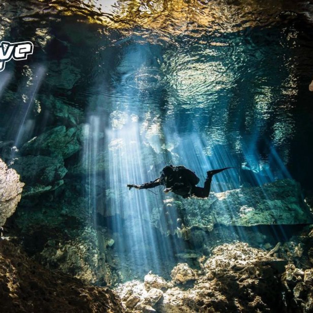 Explore the Hidden World: Cenotes Underwater Adventures Explore the Hidden World: Cenotes Underwater Adventures