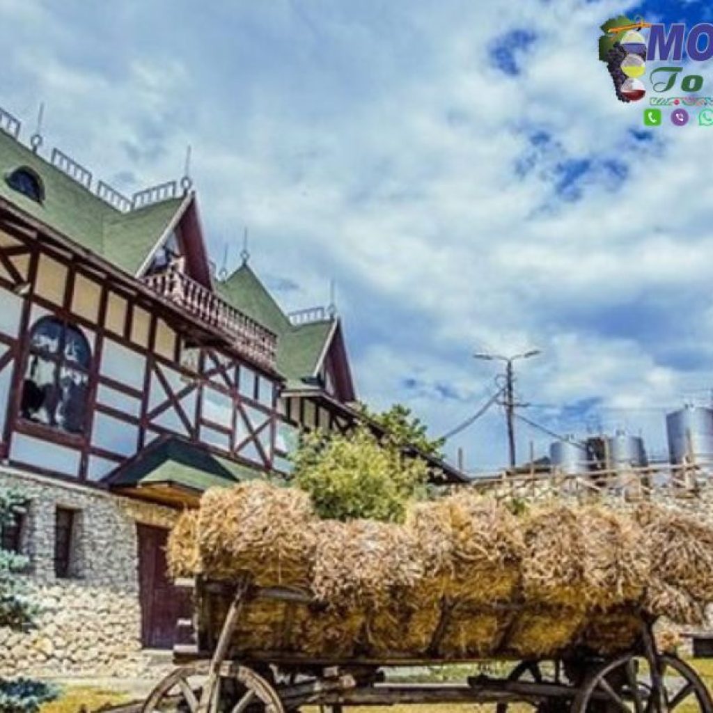 Plan Your Moldova Journey: Tours, Tastings, and Timeless Beauty