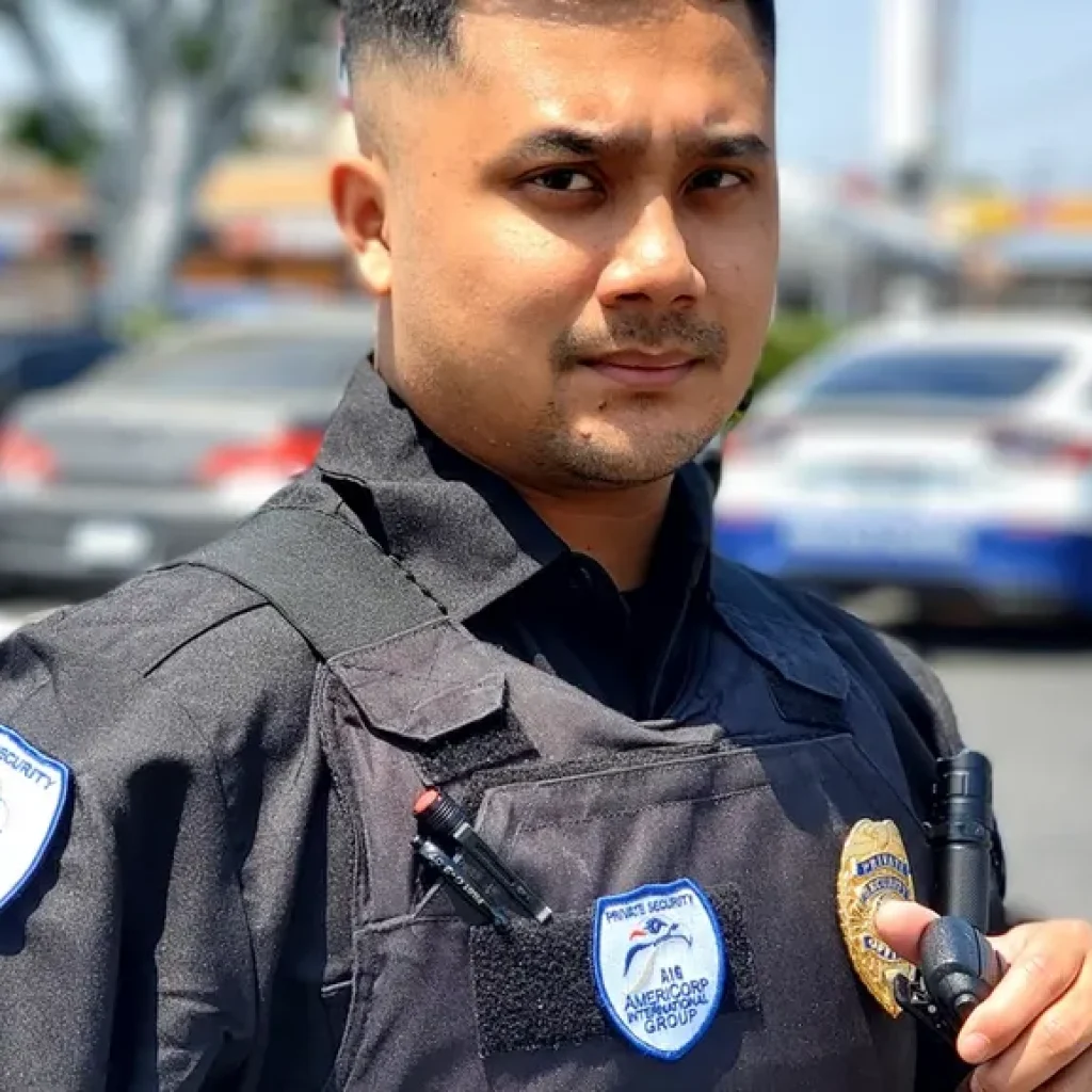 Premier Event Security for Los Angeles Venues and Gatherings
