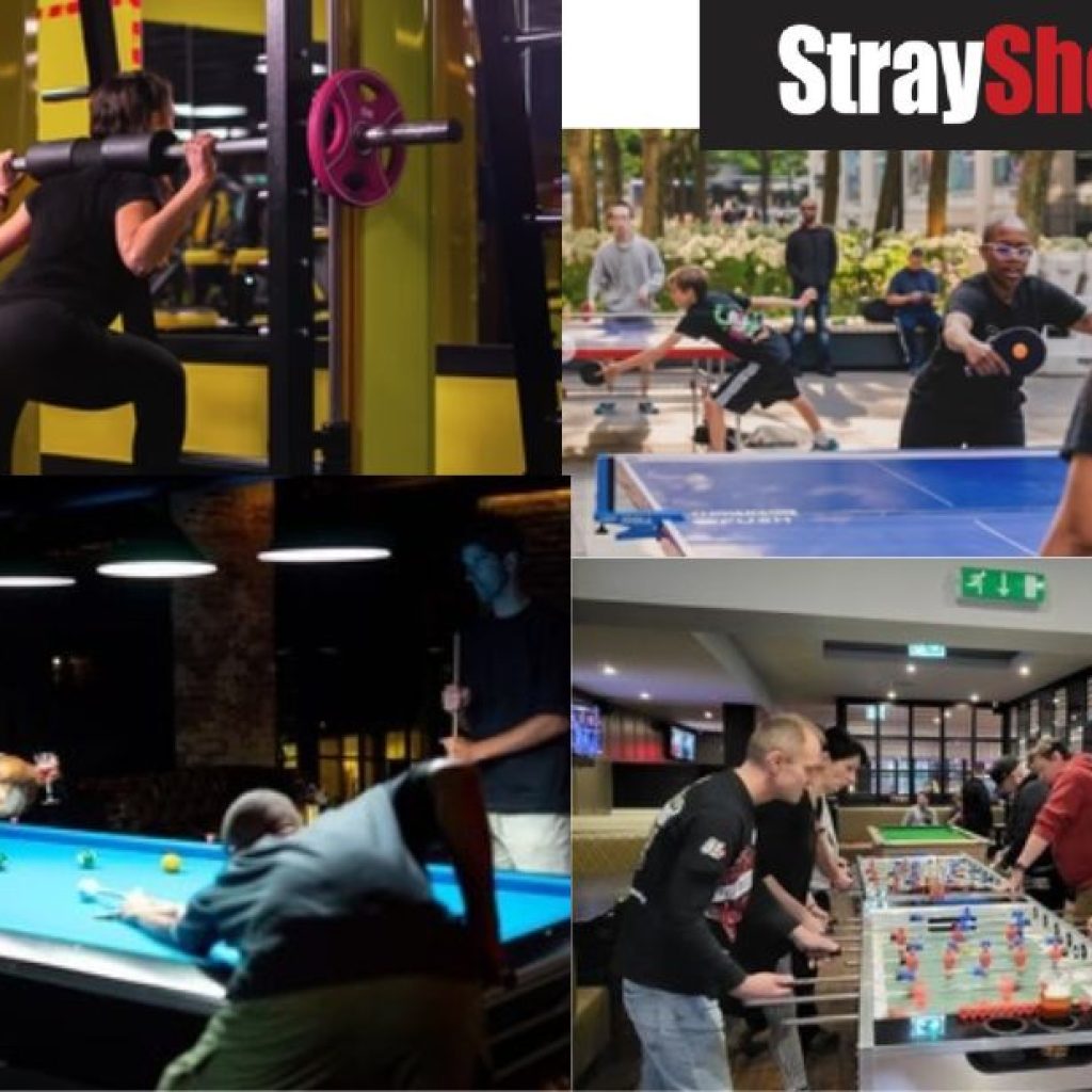 Kies hoogwaardige tafels voor pingpong plezier thuis en in clubs Kies hoogwaardige tafels voor pingpong plezier thuis en in clubs