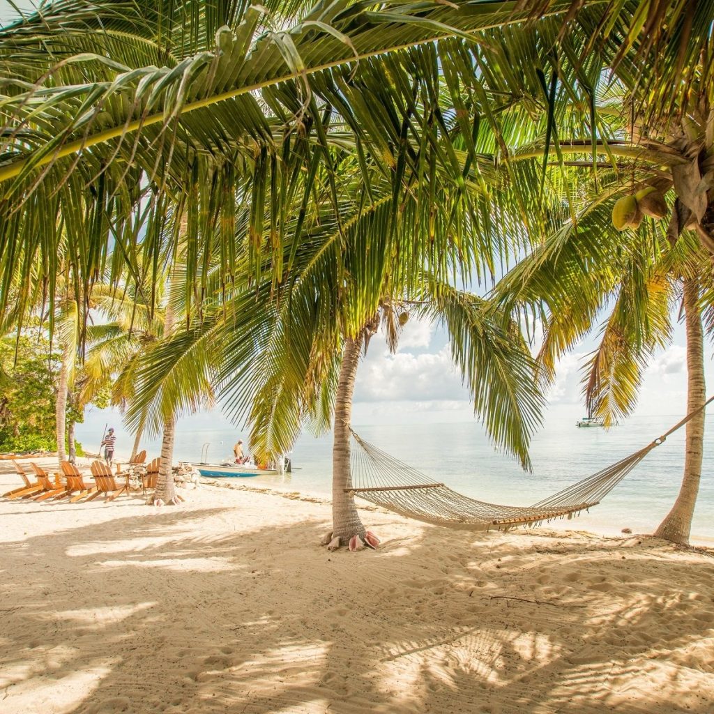 Discover South Andros: Top lodges for bonefishing in the Bahamas