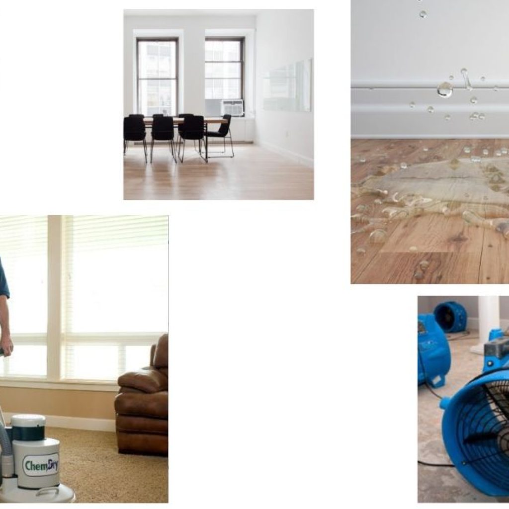 Master Water Damage Restoration Certification Online