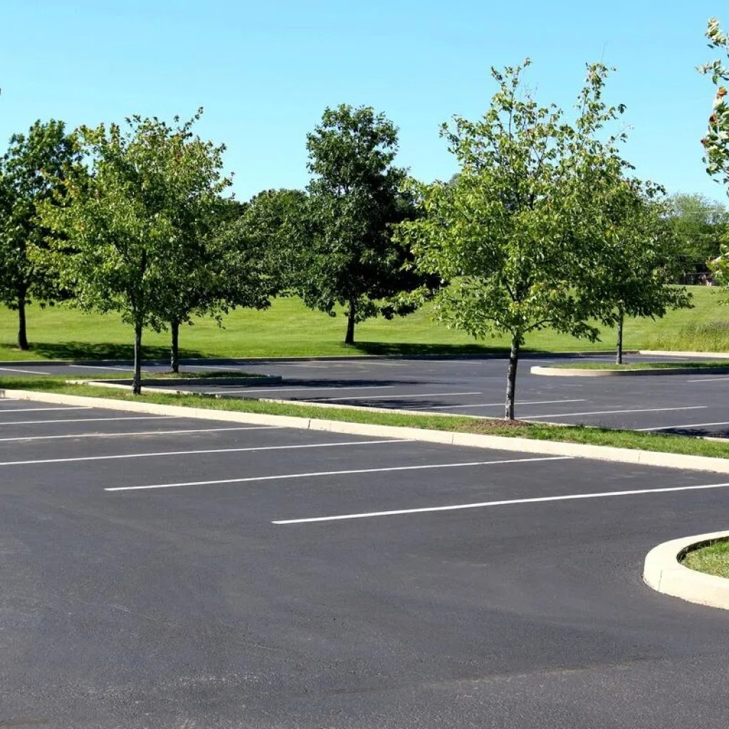 Top Asphalt Specialists in Florida for Driveways and Parking Lots Top Asphalt Specialists in Florida for Driveways and Parking Lots
