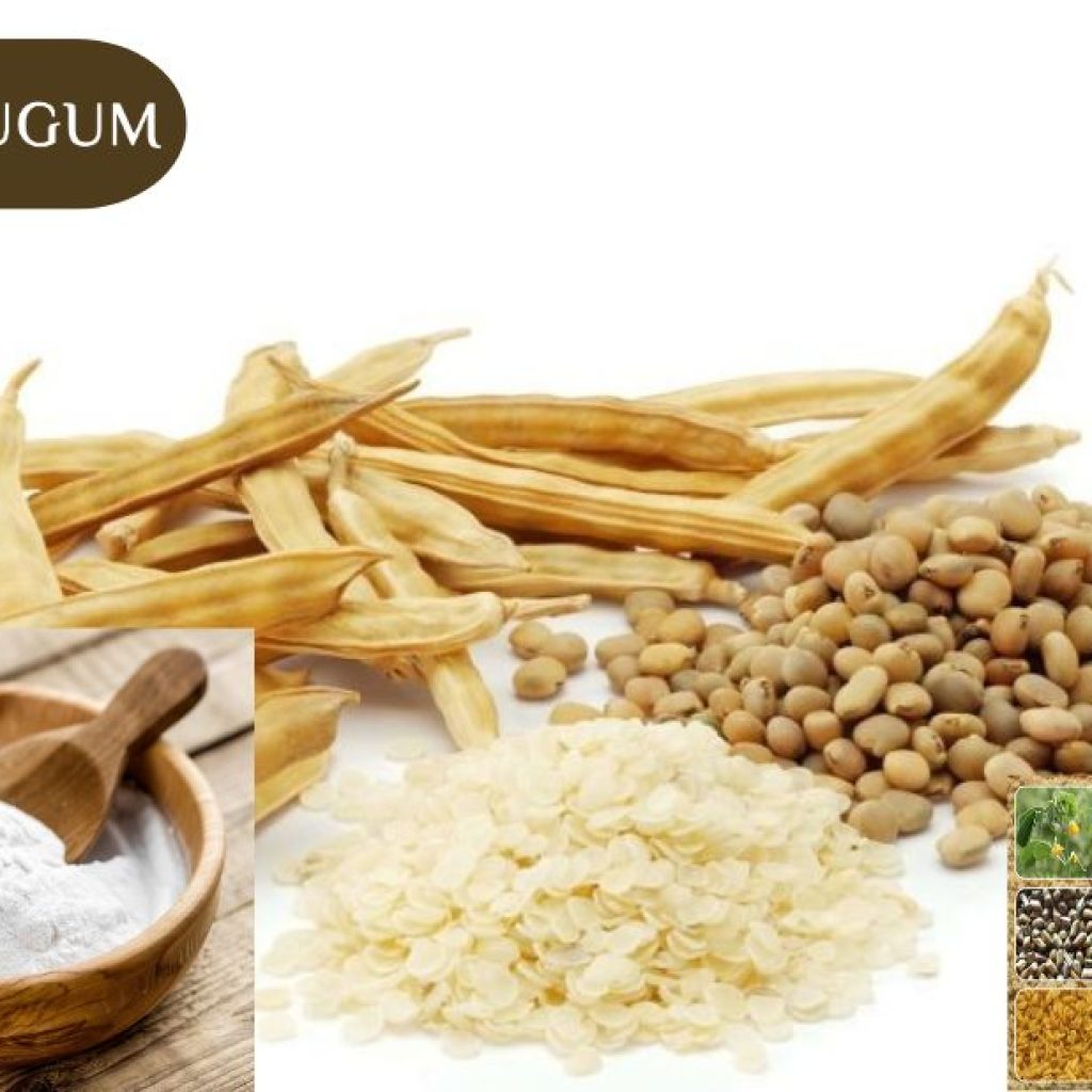 Buy Guar Gum For Oil Drilling – Trusted Choice