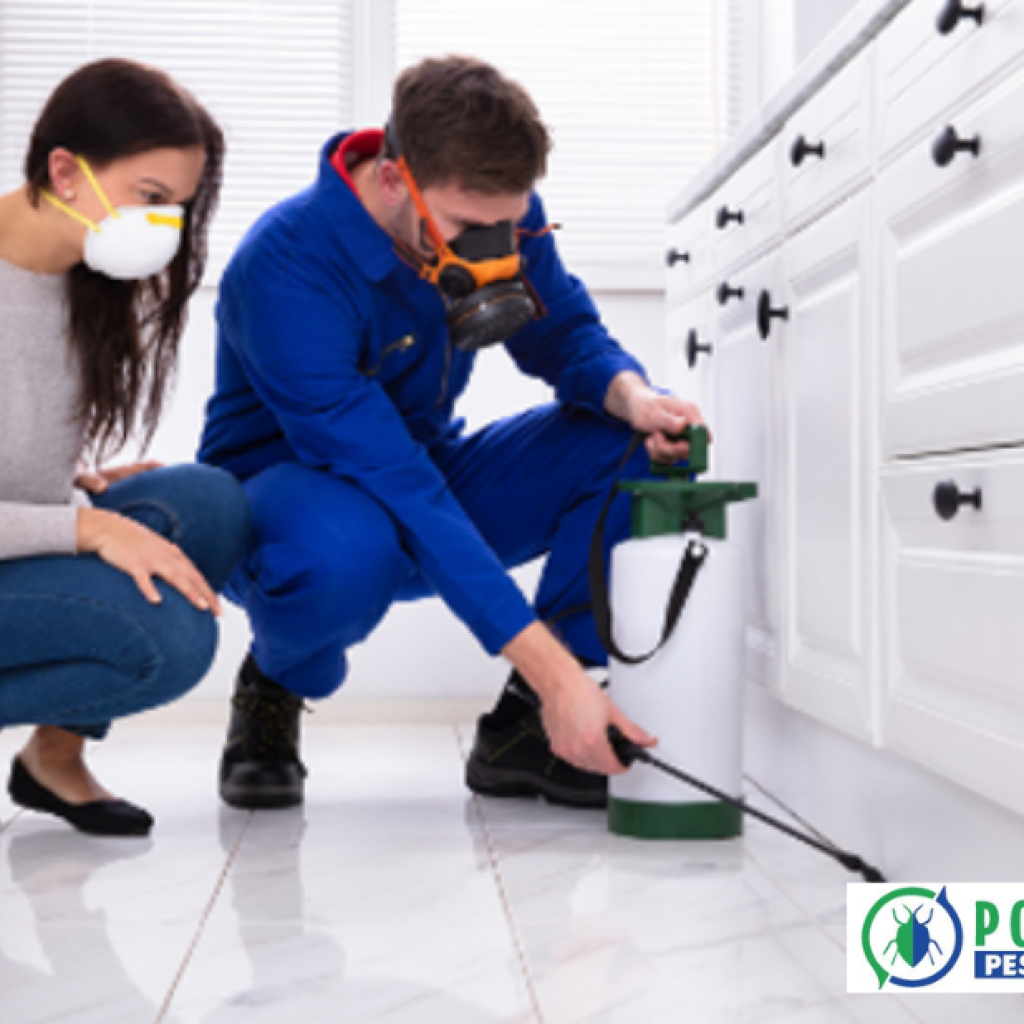 Protect Your Outdoor Time: Safe, Effective Mosquito Solutions for Calgary Protect Your Outdoor Time: Safe, Effective Mosquito Solutions for Calgary