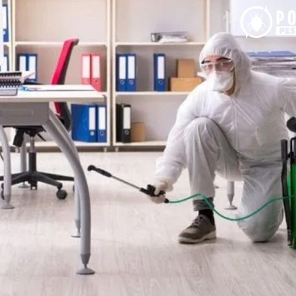 Professional Pest Solutions in Calgary for Home & Business Professional Pest Solutions in Calgary for Home & Business