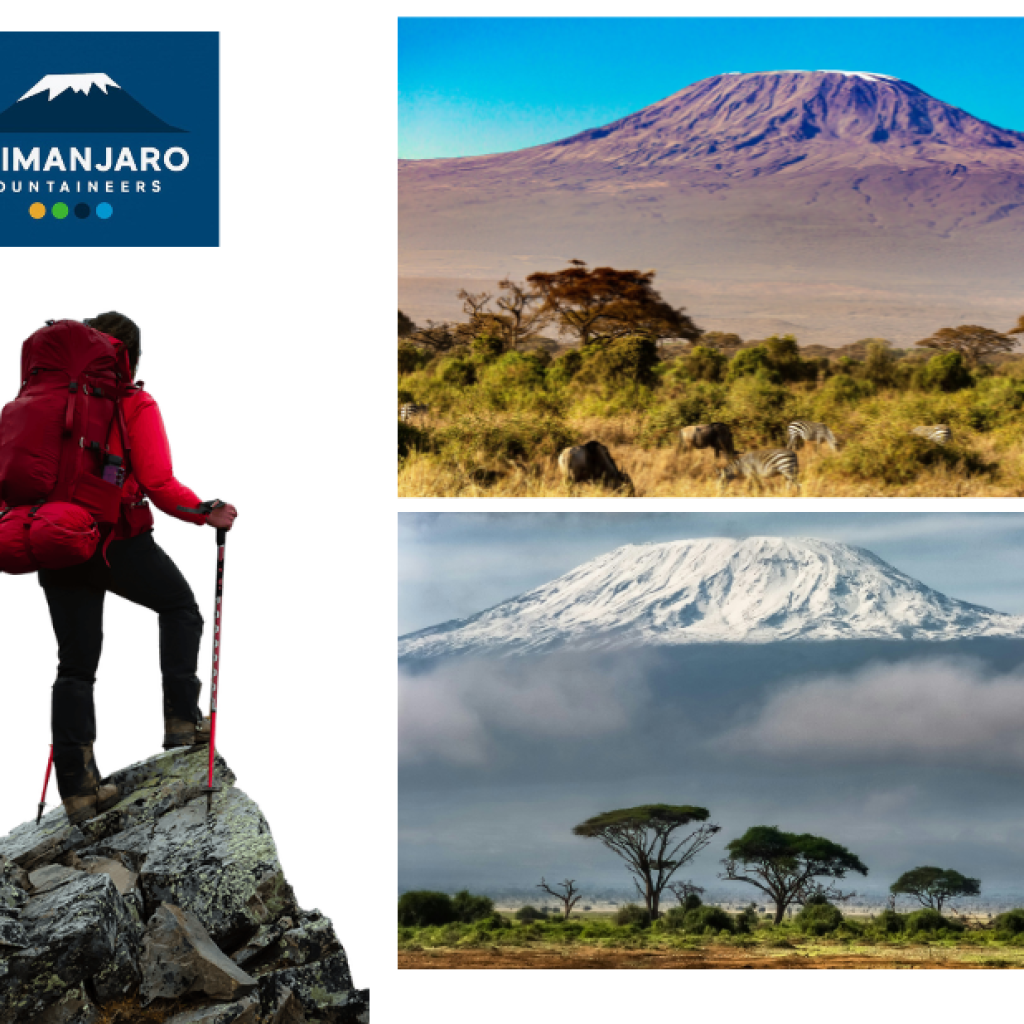 Fuel Your Ascent: Meal Planning for Kilimanjaro Fuel Your Ascent: Meal Planning for Kilimanjaro