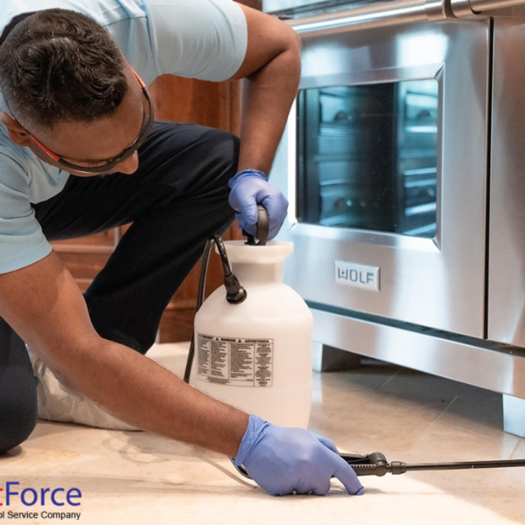Effective Bed Bug Solutions from Local Pros