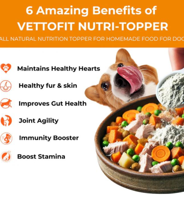 Vettofit: Best Nutrition & Food Toppers for Your Dogs