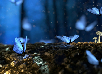 Smart picks for low cost digital hearing aids and how they stack up