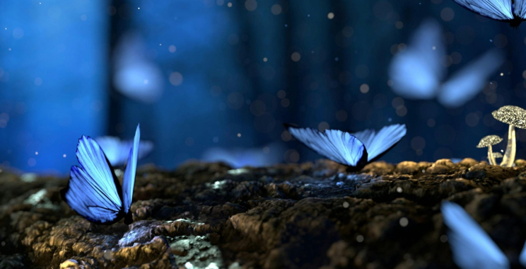 Smart picks for low cost digital hearing aids and how they stack up